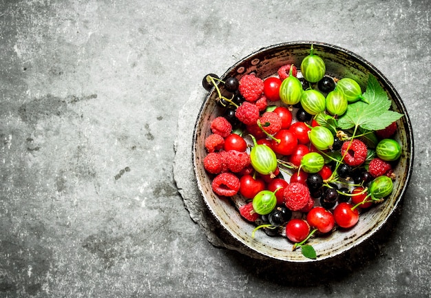 Wilde Beeren in der alten Platte auf Steintisch.