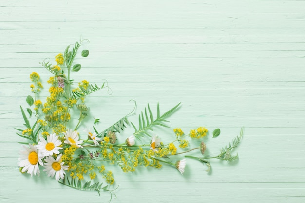 Wilde Blumen auf grünem hölzernem Hintergrund