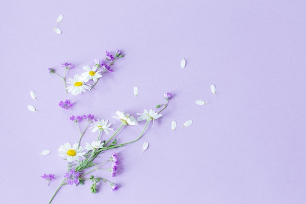 Wilde Blumen auf lila Papierhintergrund