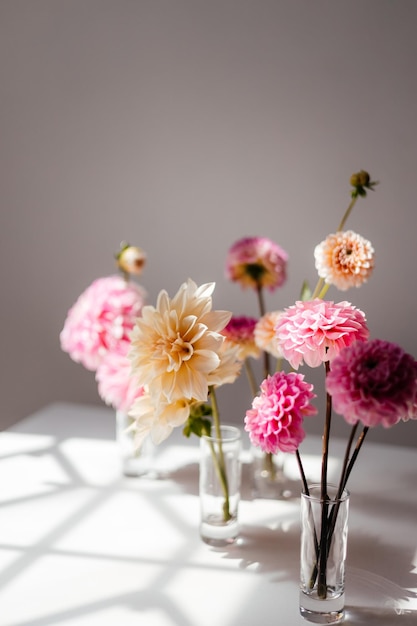 wilde Blumen fotografiert auf weißem Hintergrund bei Tageslicht Blumen für ausgeschnittenen weißen Hintergrund