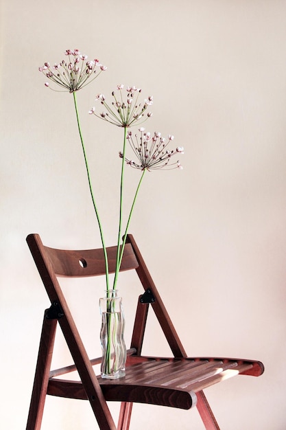 Wilde Bogenpfeile in einer Vase auf einem Holzstuhl an einer weißen Wand