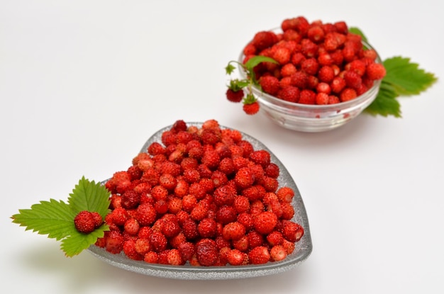 Wilde Erdbeeren in Glasschalen Nahaufnahme