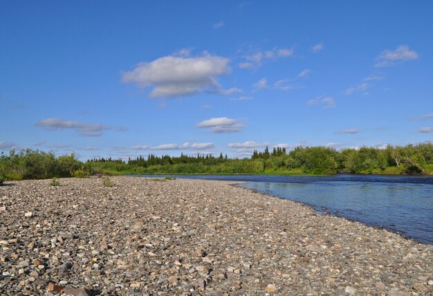 Wilde Flusslandschaft im polaren Ural