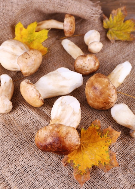 Wilde Pilze und Blätter im Herbst auf Sackleinen Hintergrund