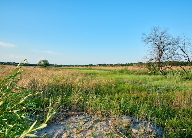 Wilde Steppe an einem Sommertag, Ukraine