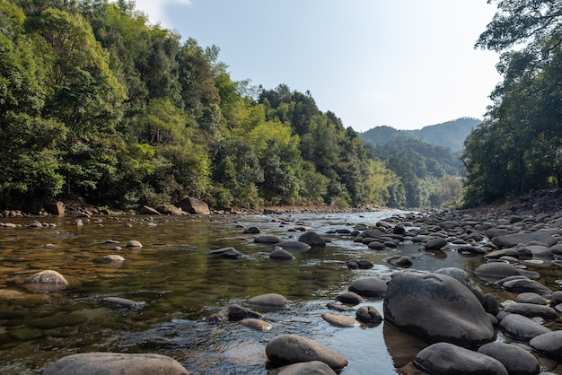 Wilde Wälder und fließendes Wasser auf dem Land