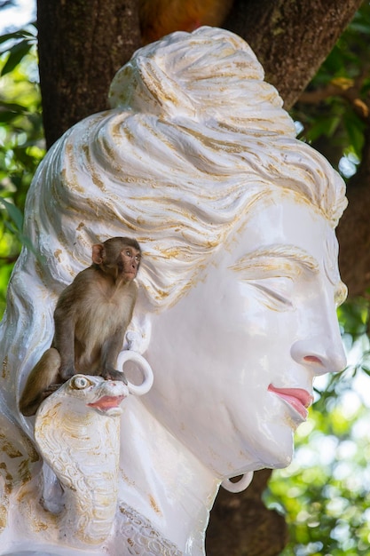 Wilder Affe sitzt auf einer Shiva-Statue Hindu-Idol in der Nähe des Flusses Ganges Rishikesh Indien