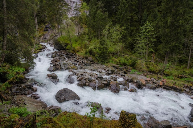 Wilder Bach in der Naturlandschaft