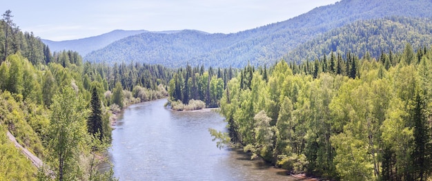 Wilder Bergfluss an einem Sommertag panoramisch