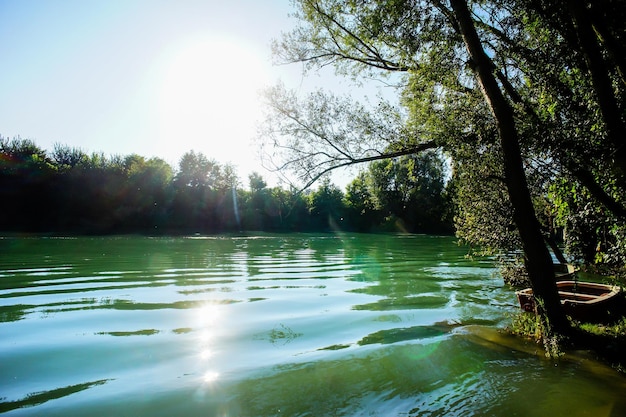 Wilder Brenta-Fluss