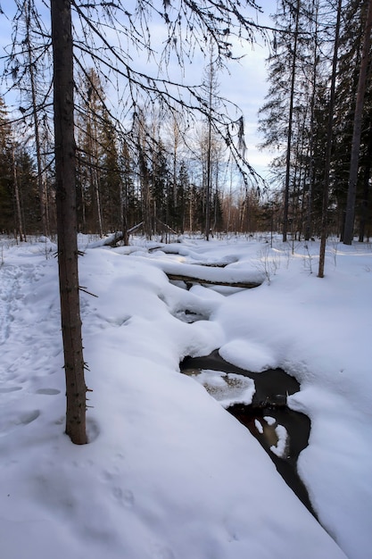 Wilder Fluss in einem verschneiten Wald