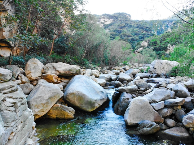 Wilder Fluss mit Felsen im Berg Bergfluss, der durch die grüne Waldlandschaft fließt