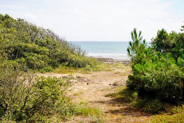 Wilder Küstenzugang zum Meeresstrand im Atlantik in Frankreich