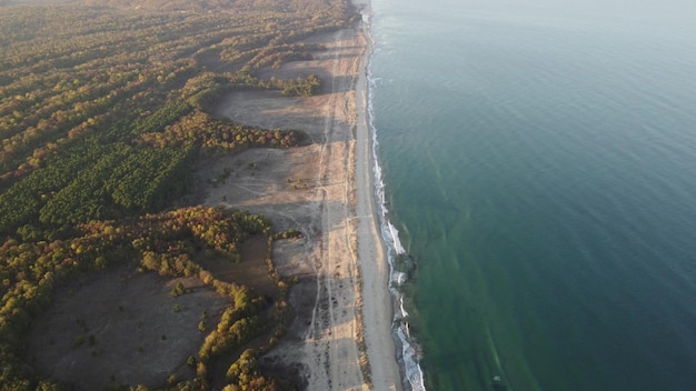 Wilder Strand mit Sand und Wald in Bulgarien Luftbild