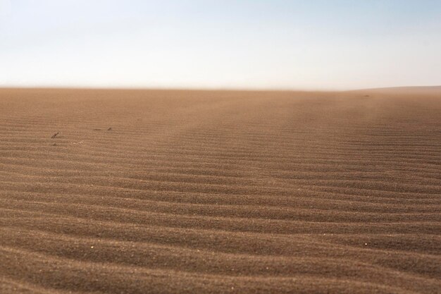 Wilder Strand und erstaunliche Sanddüne in La Guajira Kolumbien