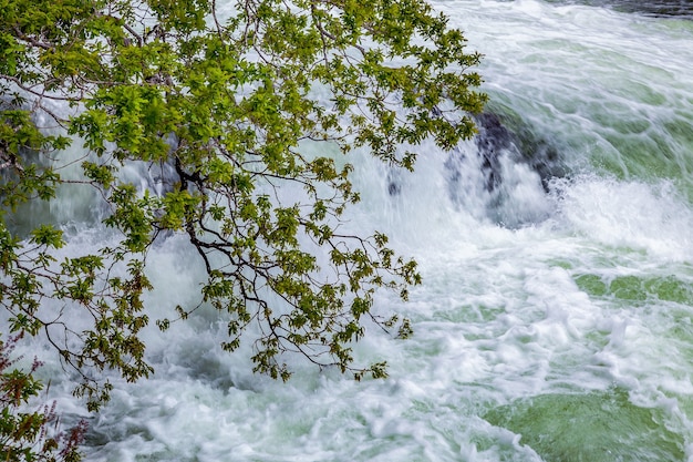 Wilder Strom aus Loch Morar