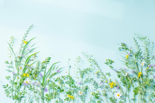 Wildes Gras und Blumen auf grünem Papierhintergrund