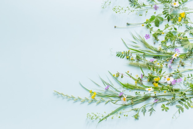 Wildes Gras und Blumen auf grünem Papierhintergrund