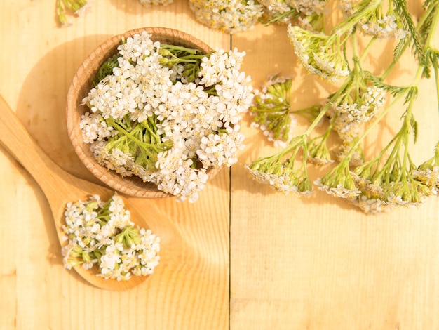 Wildes Schafgarbenkraut mit frischen Schafgarbenblüten in Holzschüssel und Löffel auf rustikalem Tisch kopieren Raum alternatives medizinisches Konzept