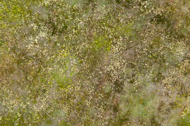 Foto wildfeldansicht von oben sommerhintergrund