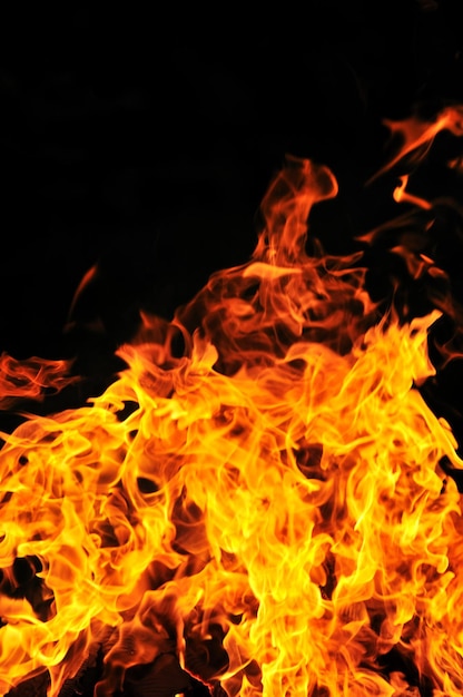 Wildfeuerflammen brennen heiß mit schwarzem Hintergrund