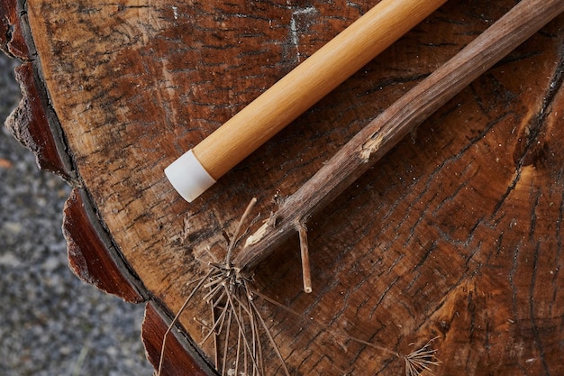 Wind Musikinstrument Holzflöte isoliert