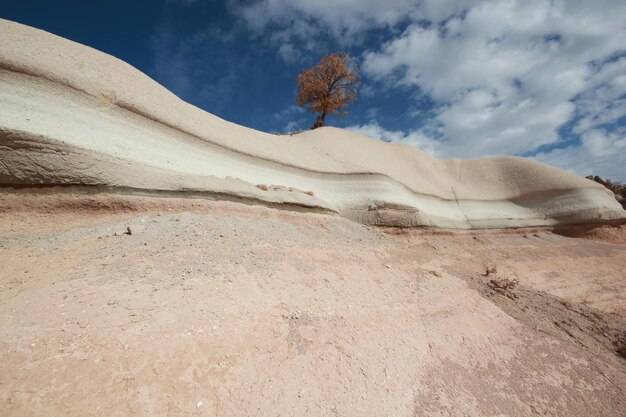 Winderosionsfelsen