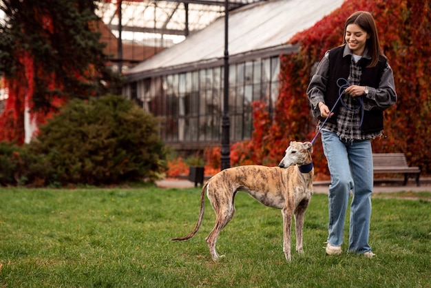 Windhundhund, der seinen Spaziergang genießt