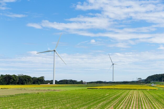 Foto windkraftanlage und feld mit sonnigem tag