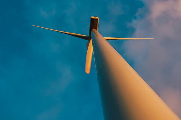 Windkraftanlage von einem niedrigen Standpunkt aus gesehen, die auf einer flachen Wiese vor einem blauen Himmel stehen.