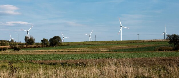 Windkraftanlagen auf grünen Hügeln Gruppe von Windmühlen zur Stromerzeugung im Grünen