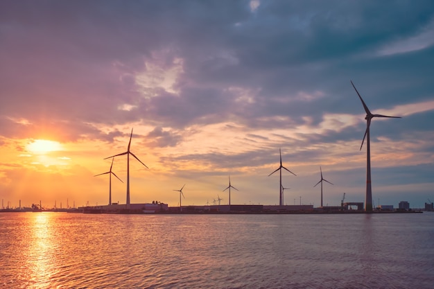 Windkraftanlagen im Hafen von Antwerpen bei Sonnenuntergang