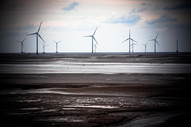 Windkrafterzeugung am Strand