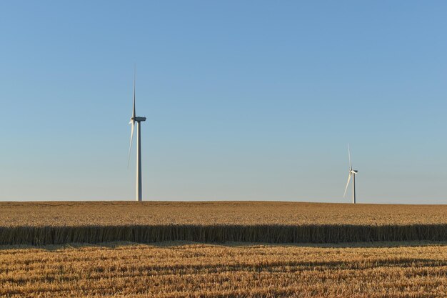 Foto windmühle auf dem feld vor klarem himmel