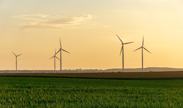 Windmühlen auf dem Feld gegen den Himmel bei Sonnenuntergang