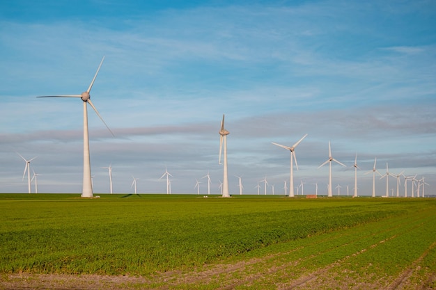 Windmühlen auf dem Feld gegen den Himmel