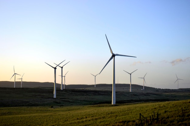 Windmühlen auf dem Feld gegen den Himmel
