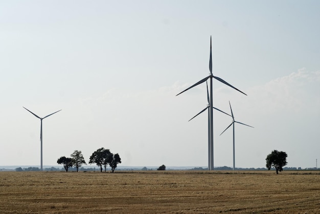Windmühlen auf dem Feld gegen den Himmel