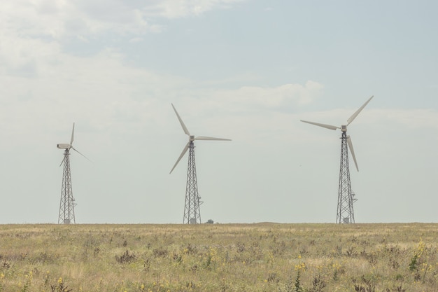 Windmühlen auf dem Feld. Platz kopieren