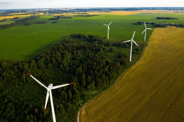 Windmühlen auf dem Hintergrund von Wäldern und Feldern. Windmühle in der Natur.Belarus