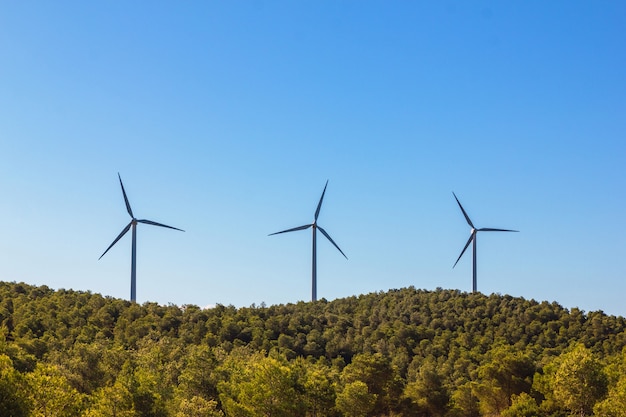 Windmühlen auf einem von Bäumen gesäumten Berg