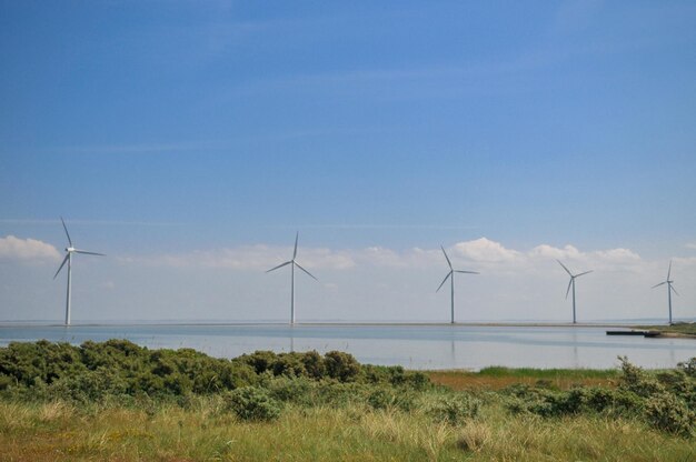 Windmühlen des Windparks am Meer in Dänemark