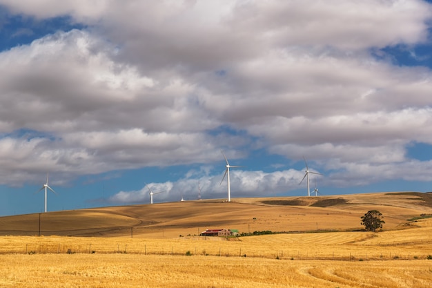 Windmühlen in der Landschaft von Südafrika