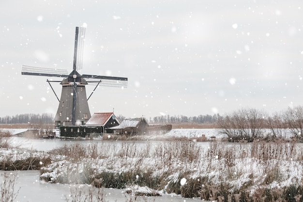 Windmühlen in Kinderdijk, die Niederlande im Winter