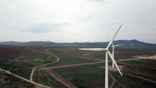 Windmühlen stehen inmitten grüner Felder