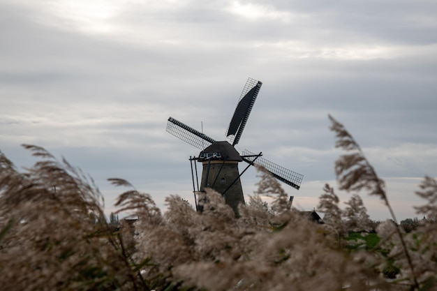 Windmühlen von Kinderdijk in den Niederlanden