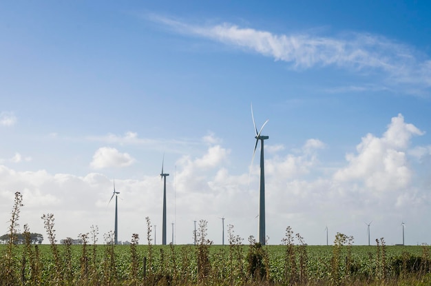 Windmühlen während des hellen Sommertages mit sauberem und erneuerbarem Energiekonzept des blauen Himmels