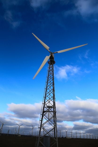 Windmühlen während des hellen Sommertages