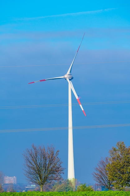 Windmühlen Windturbinen landwirtschaftliche Stromgeneratoren Produktion von erneuerbarer grüner Energie