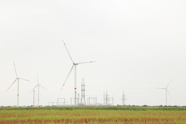 Windmühlen zur Stromerzeugung an einem bewölkten Tag. Ansicht von oben